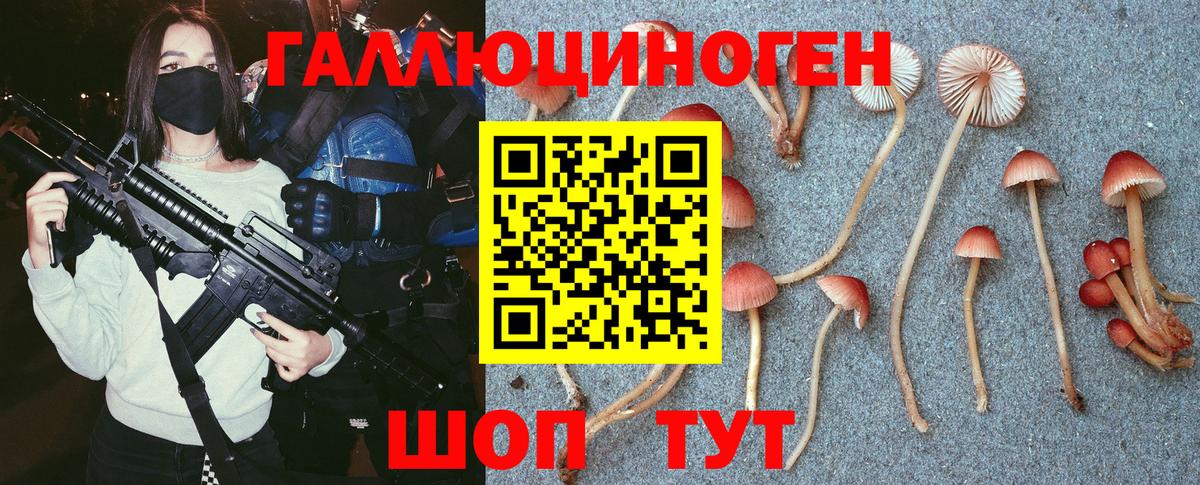 Галлюциногенные грибы Magic Shrooms  Вход с VPN  Псилоцибиновые грибы мицелий  Екатеринбург 