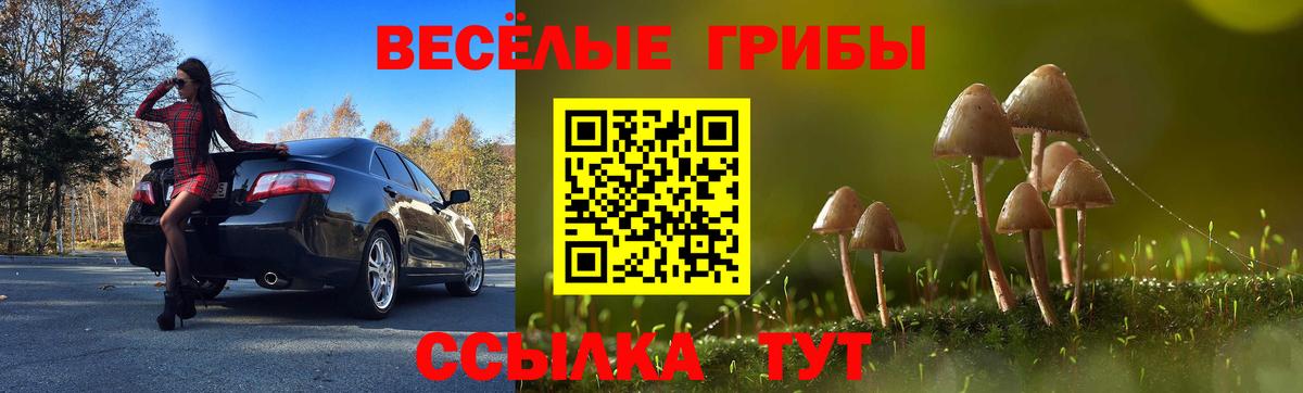 Псилоцибиновые грибы прущие грибы Екатеринбург